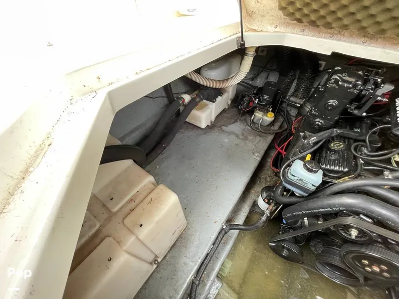 Slide: The Image of Sea Ray 260 Sundancer 1999 - 12967659