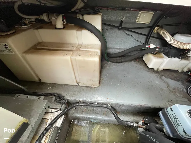 Slide: The Image of Sea Ray 260 Sundancer 1999 - 12967660