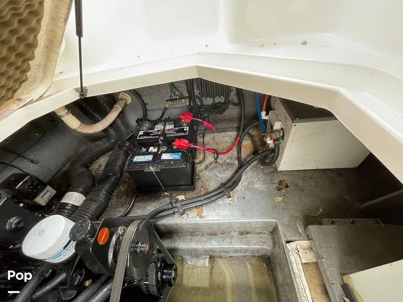 Slide: The Image of Sea Ray 260 Sundancer 1999 - 12967661