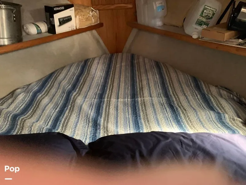 Slide: The Image of VIP - 15897484