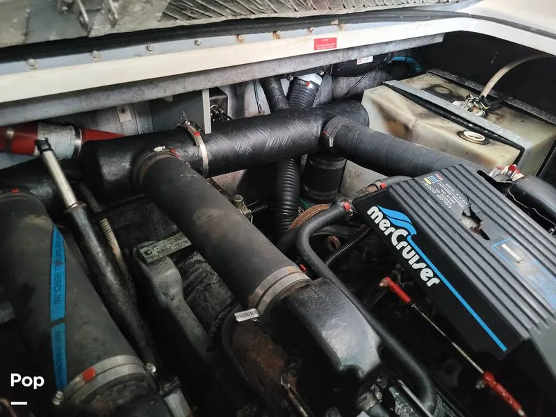 Slide: The Image of Sea Ray 330 Sundancer 1996 - 12681228