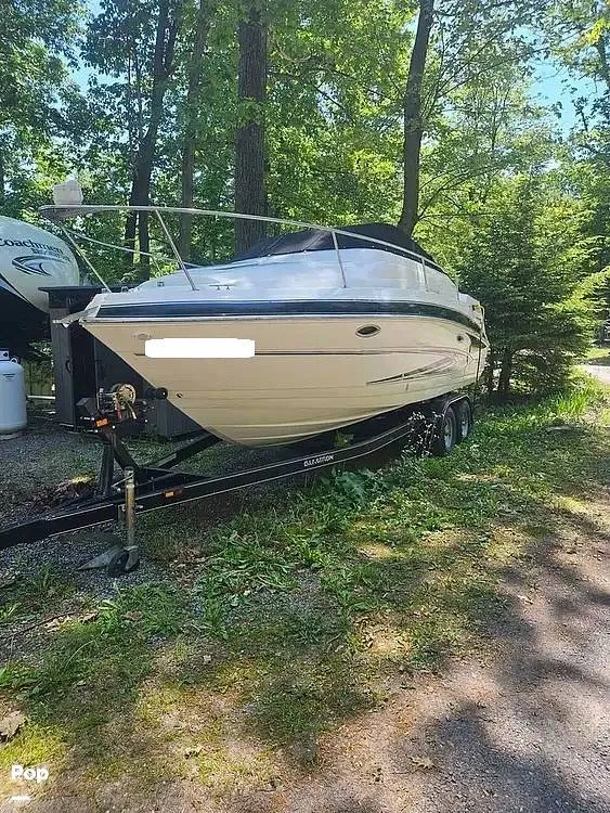 The Image of Glastron GT-249 2009 - 13136782