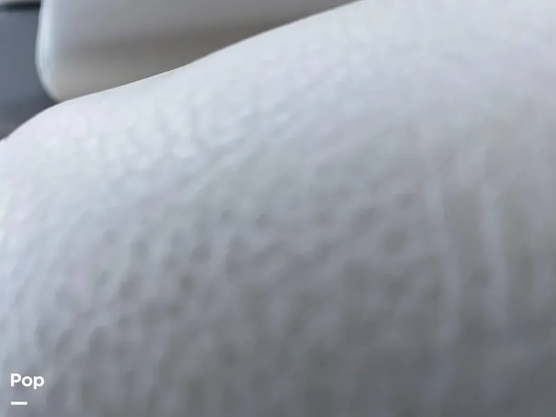 Slide: The Image of Godfrey AquaPatio 255 SBC 2023 - 12662264