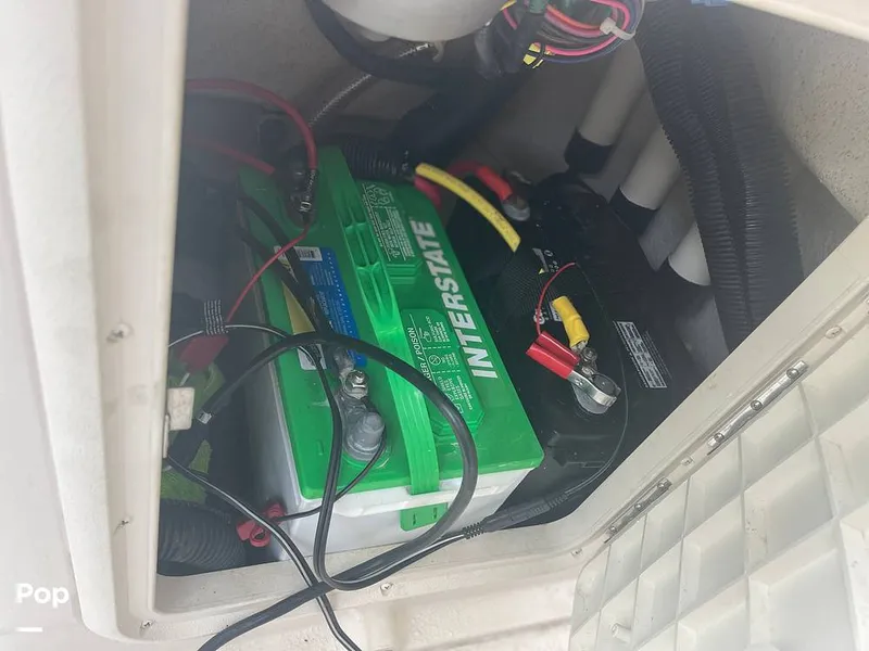 Slide: The Image of Carolina 192JLS 2022 - 12666364