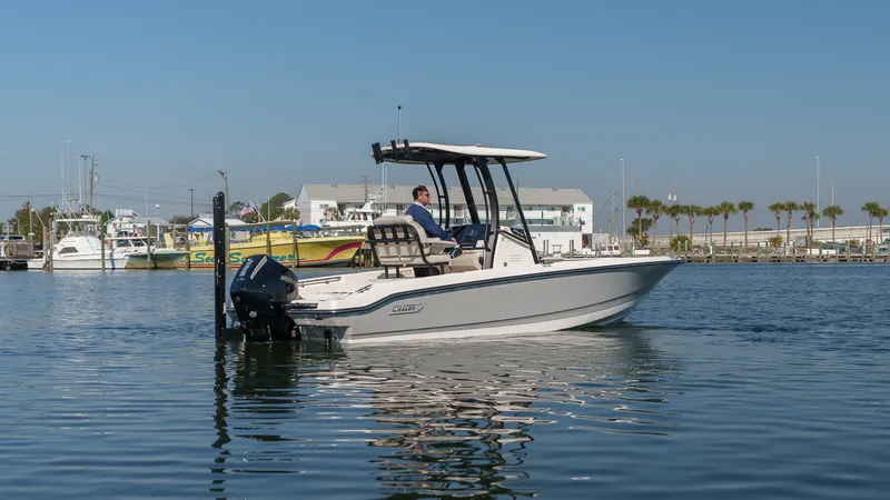 Slide: The Image of Boston Whaler 220 Dauntless 2026 - 4
