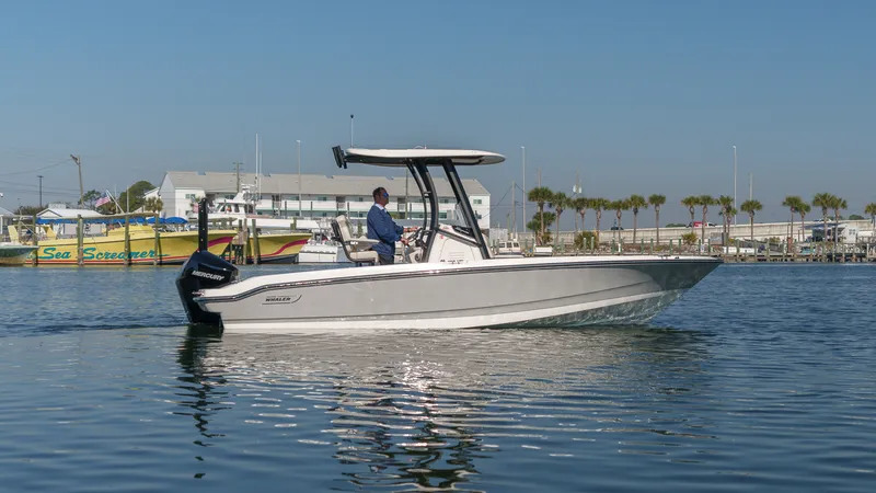 Slide: The Image of Boston Whaler 220 Dauntless 2026 - 5