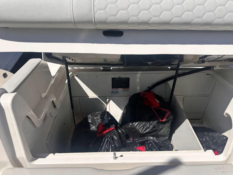 Slide: The Image of Sea Ray 290 SDX OUTBOARD 2020 - 28