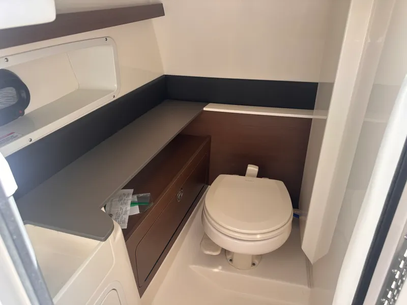 Slide: The Image of Sea Ray 290 SDX OUTBOARD 2020 - 7