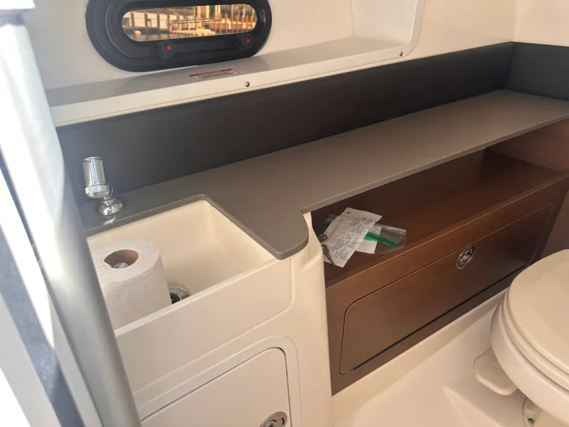 Slide: The Image of Sea Ray 290 SDX OUTBOARD 2020 - 8