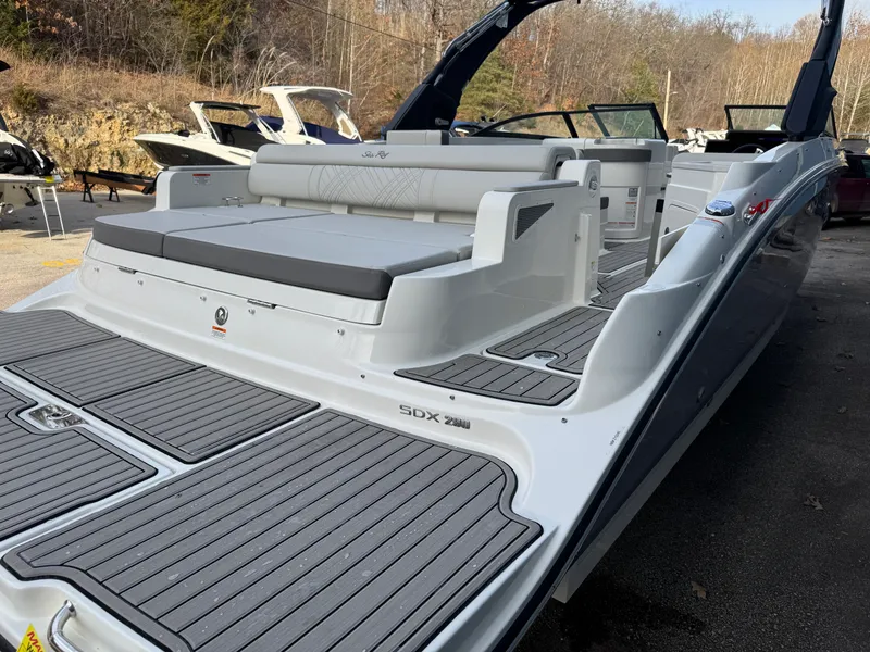 Slide: The Image of Sea Ray SDX 290 2026 - 14