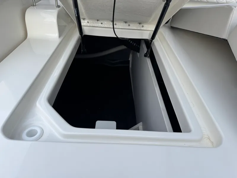 Slide: The Image of Sea Ray SDX 290 2026 - 28