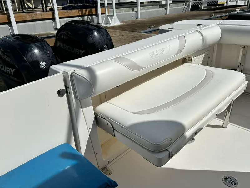 Slide: The Image of Boston Whaler 255 CONQUEST 2002 - 38