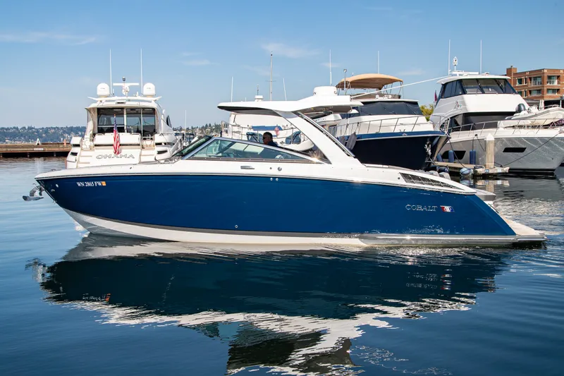 The Image of Cobalt R33 2023 - 0