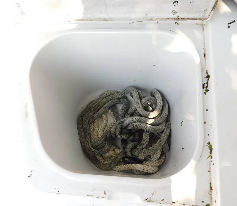 Slide: The Image of Bait Well - 12952036