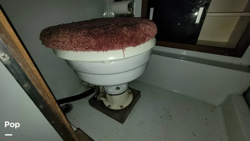 Slide: The Image of Toilet - 12952132