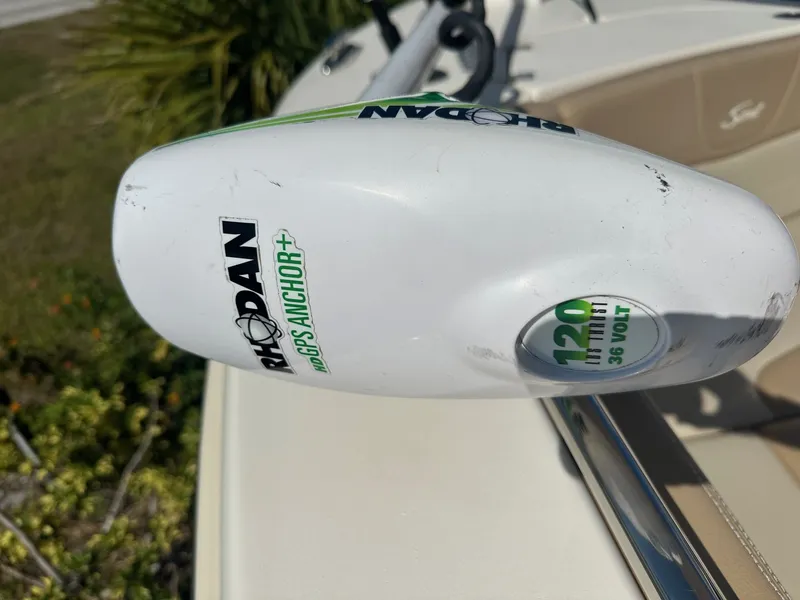 Slide: The Image of Scout 240 XSF 2023 - 36