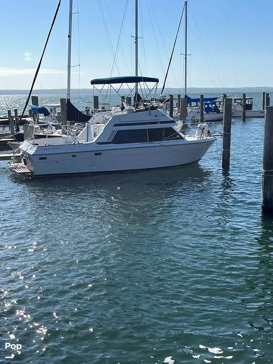 The Image of Chris-Craft 292 Sunbridge 1988 - 12688451