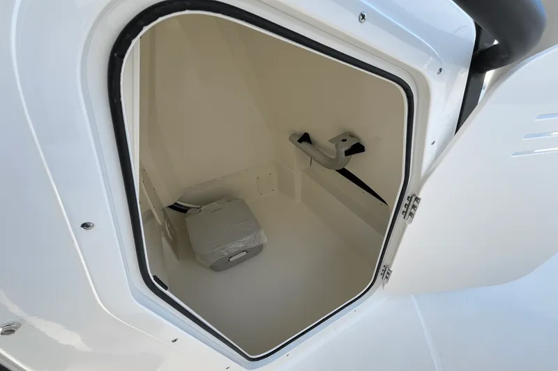 Slide: The Image of Boston Whaler 250 Dauntless 2025 - 14