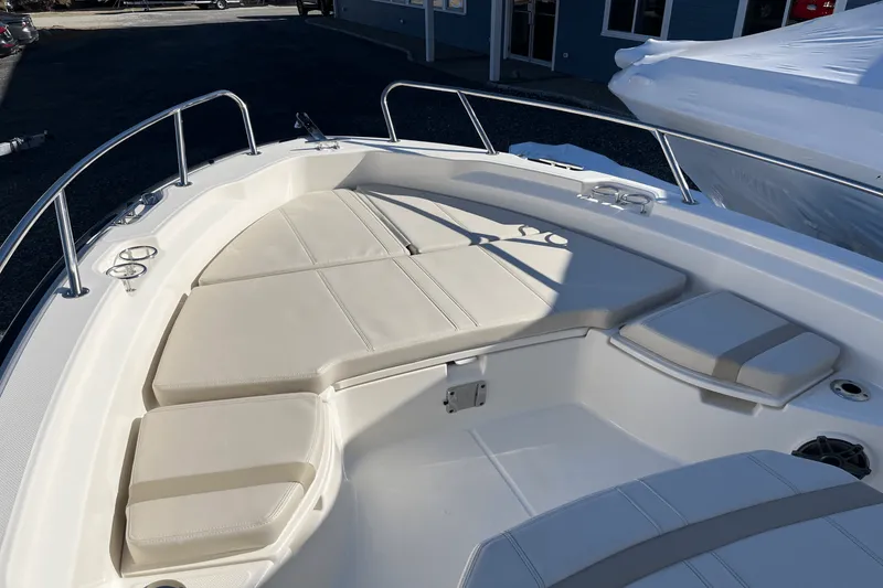 Slide: The Image of Boston Whaler 250 Dauntless 2025 - 15