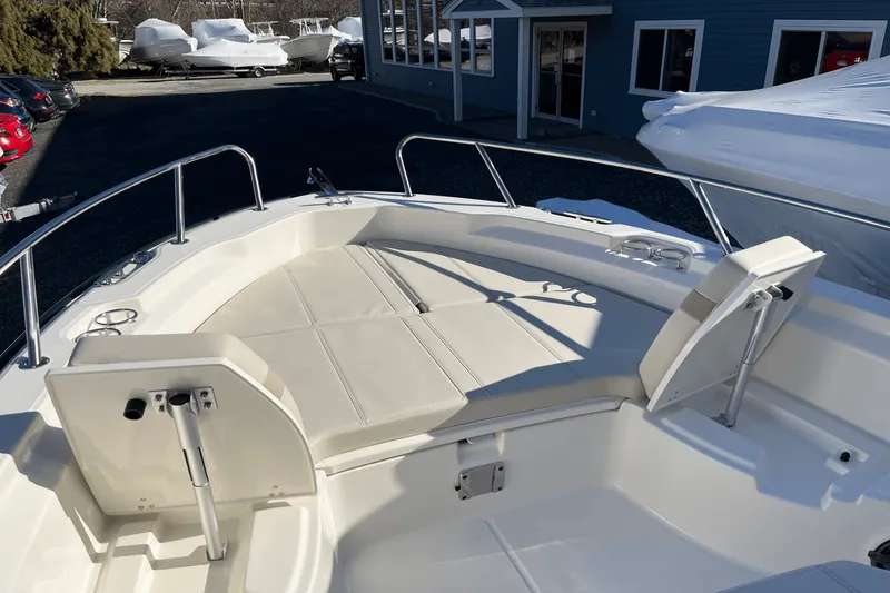 Slide: The Image of Boston Whaler 250 Dauntless 2025 - 16
