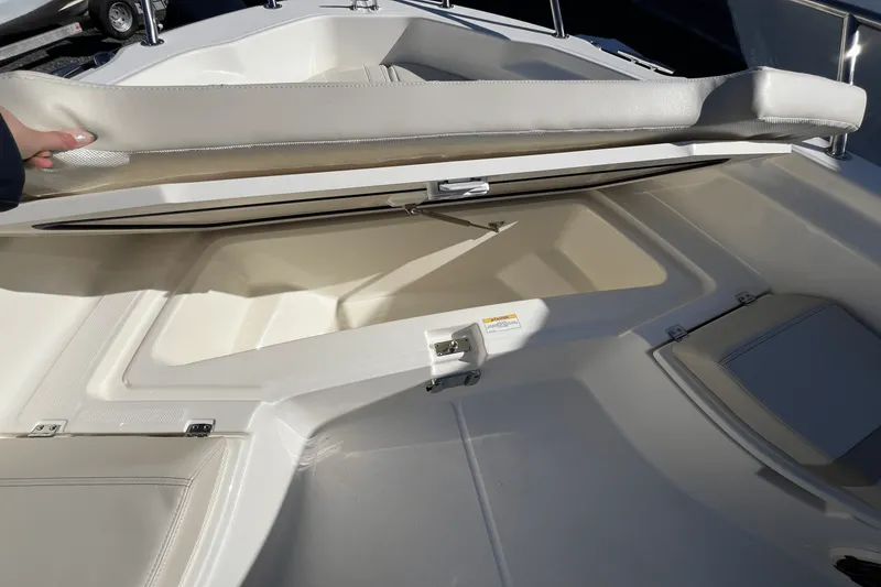 Slide: The Image of Boston Whaler 250 Dauntless 2025 - 17