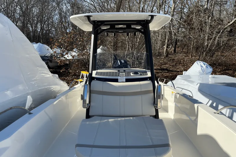Slide: The Image of Boston Whaler 250 Dauntless 2025 - 18