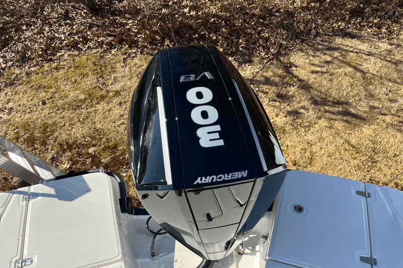 Slide: The Image of Boston Whaler 250 Dauntless 2025 - 4