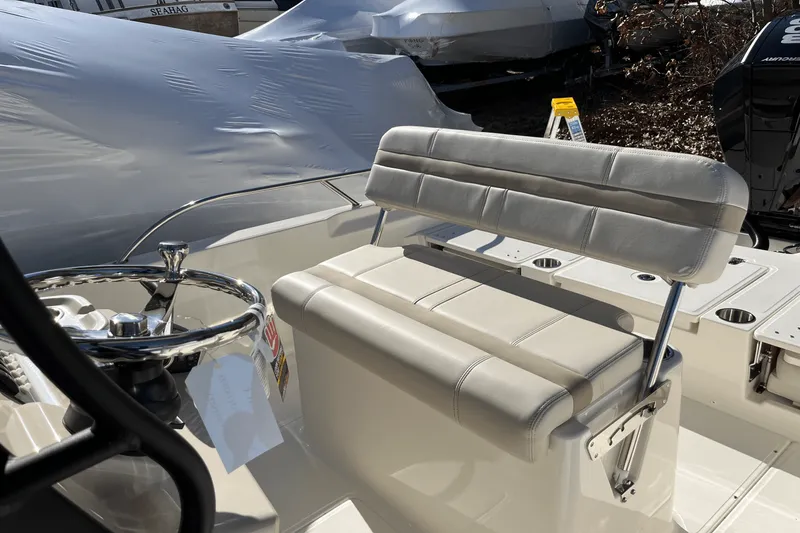 Slide: The Image of Boston Whaler 250 Dauntless 2025 - 8