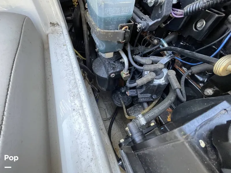 Slide: The Image of Bayliner 175 BR 2017 - 12831055