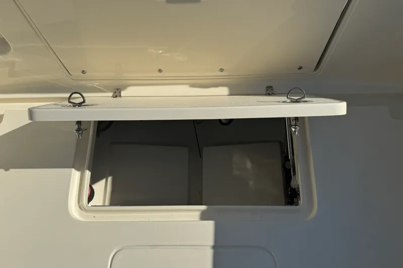 Slide: The Image of Scout 240 Dorado 2025 - 17