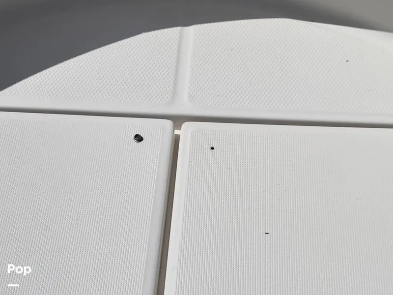 Slide: The Image of Robalo R222 2017 - 12741943