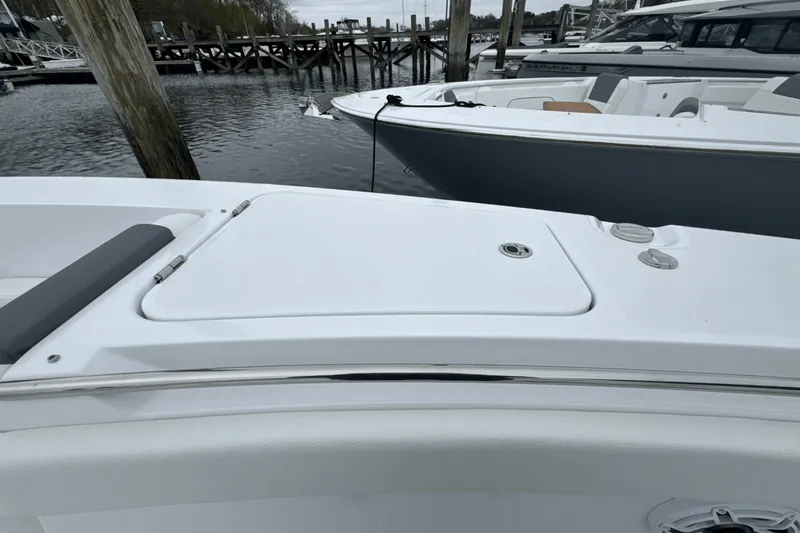 Slide: The Image of Bertram 39CC 2025 - 100