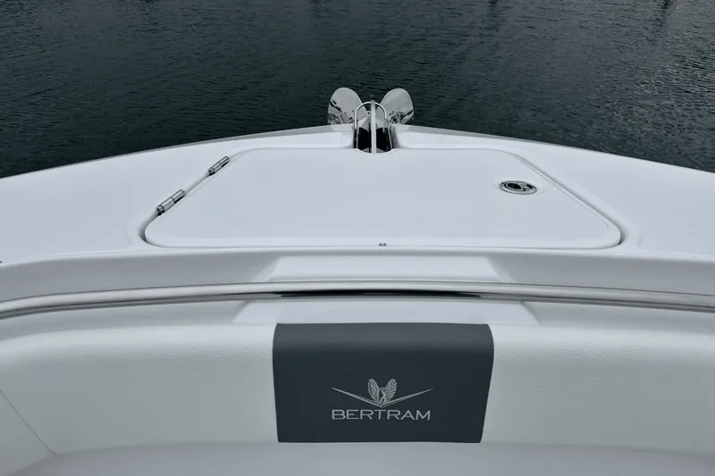 Slide: The Image of Bertram 39CC 2025 - 115