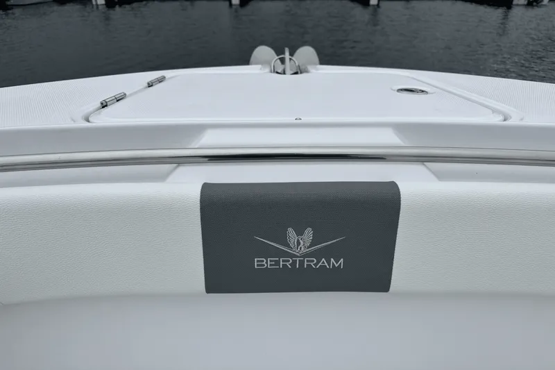 Slide: The Image of Bertram 39CC 2025 - 116