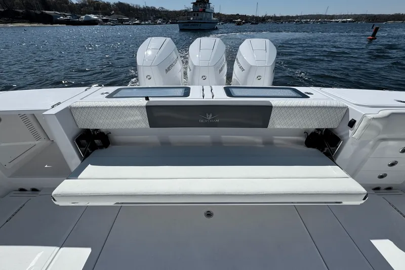 Slide: The Image of Bertram 39CC 2025 - 12