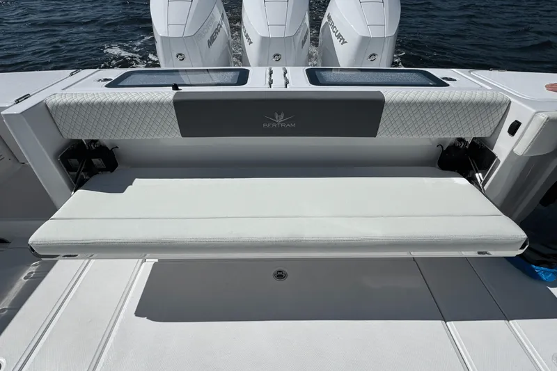 Slide: The Image of Bertram 39CC 2025 - 13