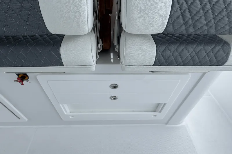 Slide: The Image of Bertram 39CC 2025 - 59