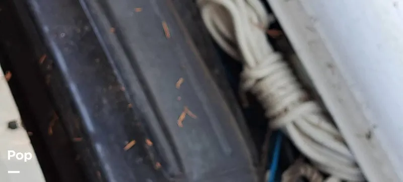 Slide: The Image of Four Winns 268 Vista 2004 - 12880923