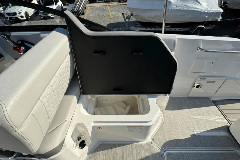 Slide: The Image of Sea Ray SDX 250 Outboard 2025 - 21