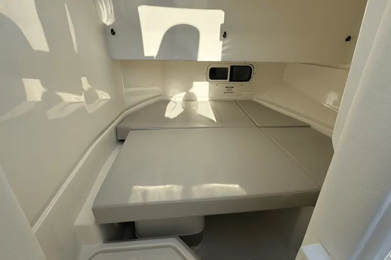 Slide: The Image of Sea Ray SDX 250 Outboard 2025 - 42