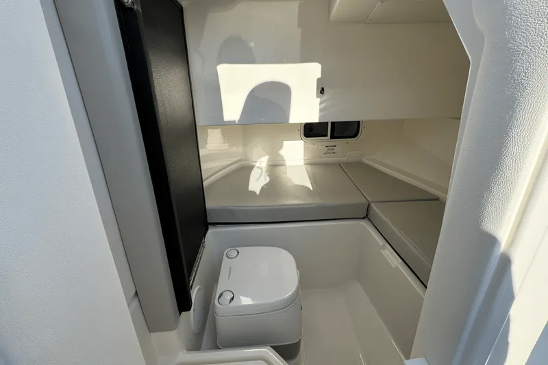 Slide: The Image of Sea Ray SDX 250 Outboard 2025 - 43