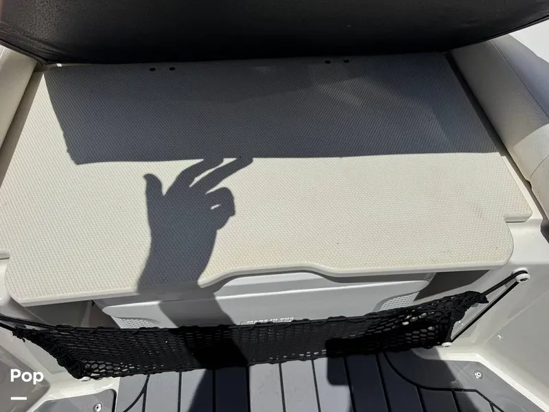 Slide: The Image of Sea Ray SDX 250 OB 2019 - 16521142