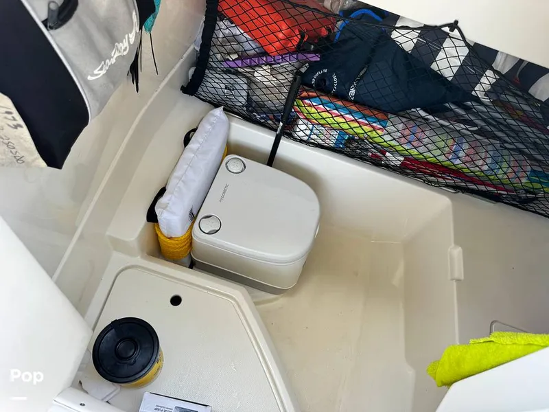 Slide: The Image of Sea Ray SDX 250 OB 2019 - 16521122