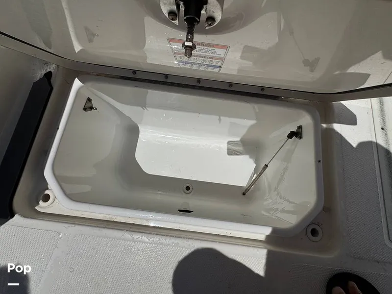 Slide: The Image of Sea Ray SDX 250 OB 2019 - 16521157