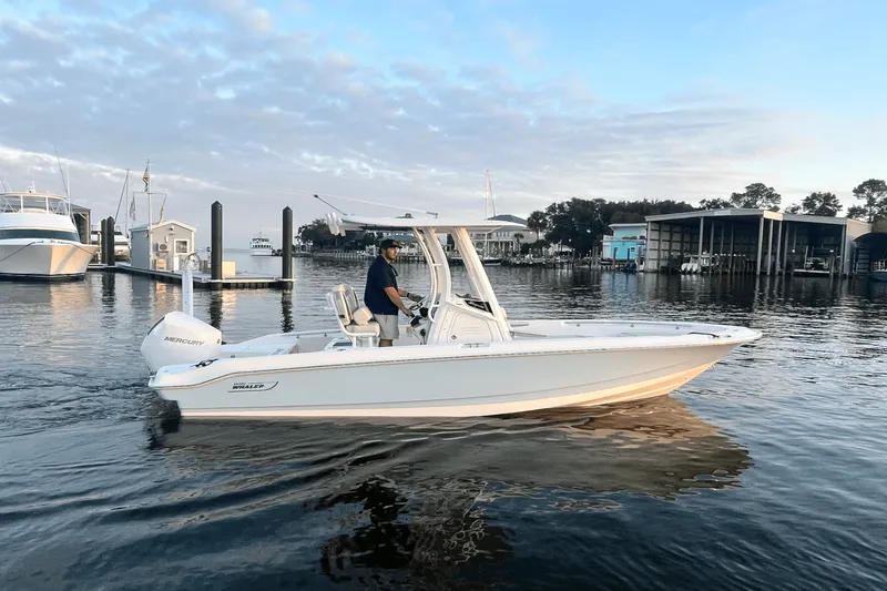 The Image of Boston Whaler 220 Dauntless 2025 - 0