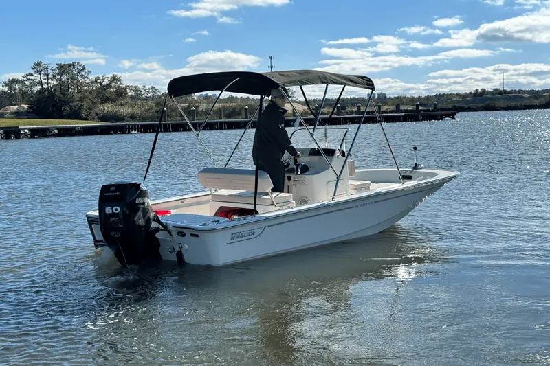 Slide: The Image of Boston Whaler 150 Montauk 2025 - 12