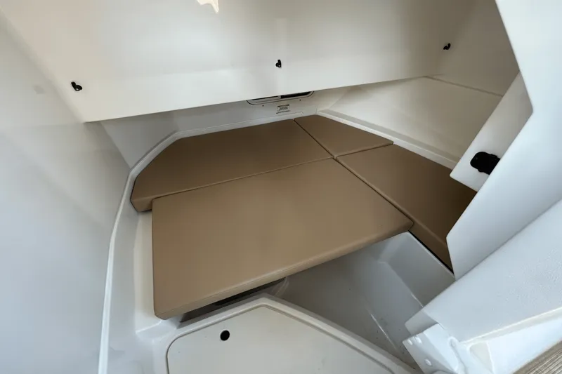 Slide: The Image of Sea Ray SDX 250 Outboard 2025 - 15