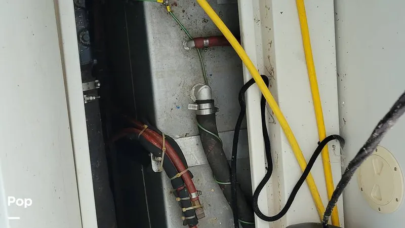 Slide: The Image of Carver Mariner 3297 1989 - 13272688