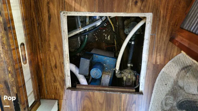 Slide: The Image of Carver Mariner 3297 1989 - 13272811