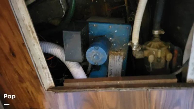 Slide: The Image of Carver Mariner 3297 1989 - 13272812